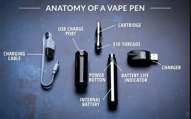 Anatomy of Vape Pen Anatomy of Vape Pen