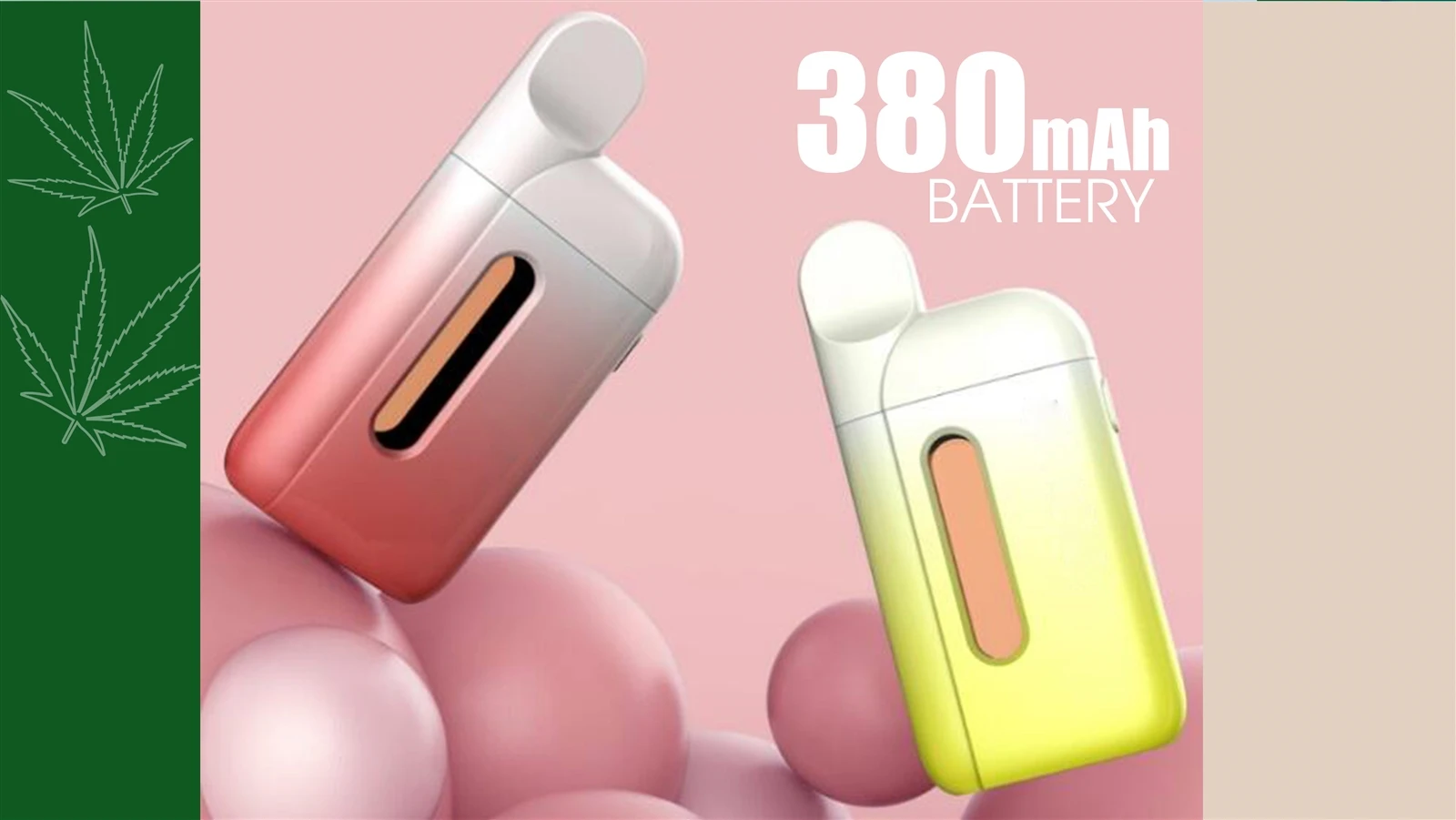 CBD-BOX304 CBD-BOX304
