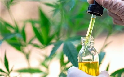 9 Health Benefits Of CBD Oil — And Side Effects