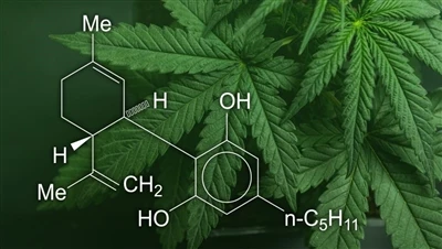 CBD, marijuana and hemp: What is the difference among these cannabis products...