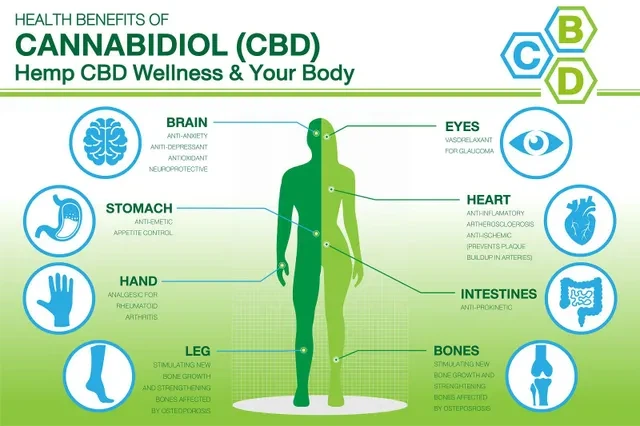 Top 5 Health Benefits of CBD Oil — and a Look at Side Effects